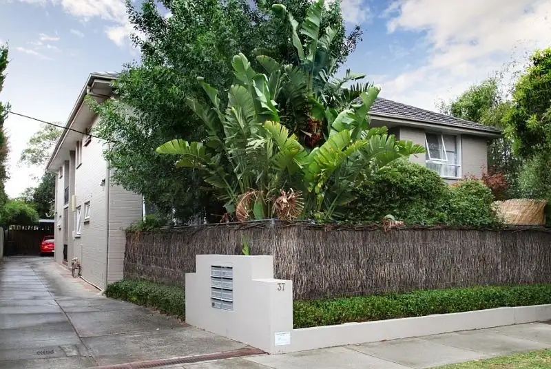 Main view of Homely apartment listing, 4/37 Tranmere Avenue, Carnegie VIC 3163