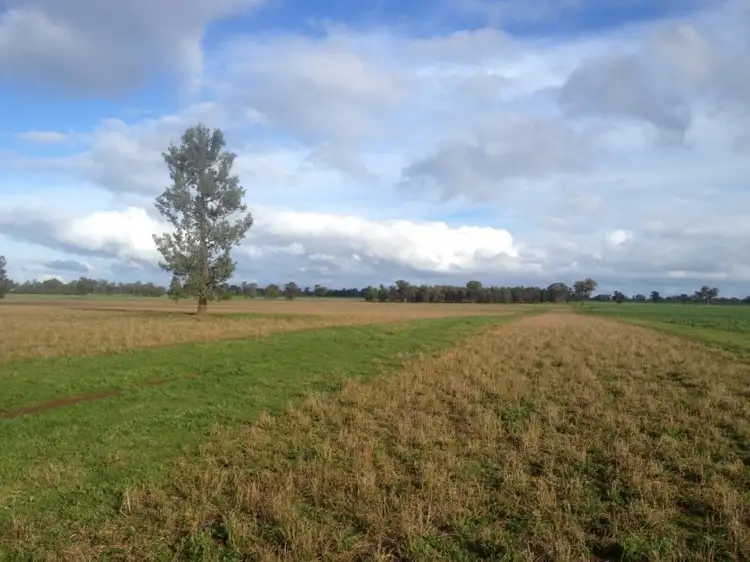 Second view of Homely rural property listing, 2791 Sturt Highway Collingullie via Wagga Wagga, Wagga Wagga NSW 2650