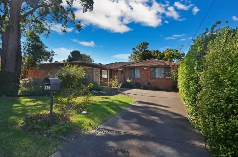 Main view of Homely house listing, 229 Illaroo Road, North Nowra NSW 2541