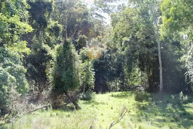 Fourth view of Homely land listing, 103 Brewers Road, Dungog NSW 2420