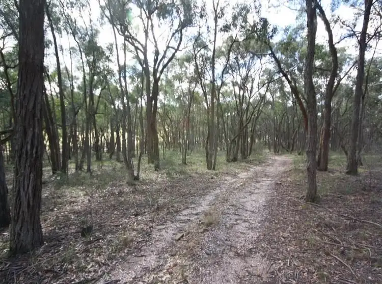 Fifth view of Homely rural property listing, 75 Rifle Butts Road, Beaufort VIC 3373