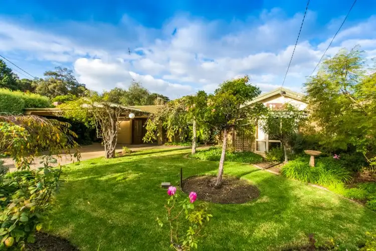 11 Braemar Court, Newtown VIC 3220