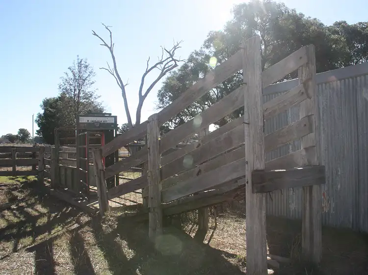 94 Nugget Lane, Gulgong NSW 2852