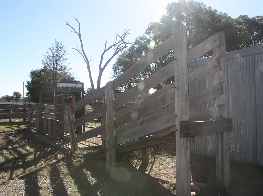 Main view of Homely rural property listing, 94 Nugget Lane, Gulgong NSW 2852