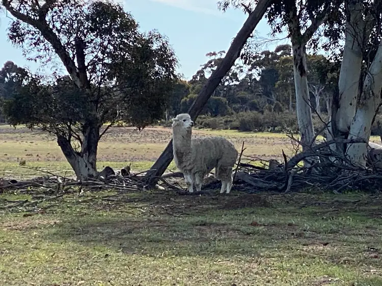 LOT 702 Dale Kokeby Rd, Beverley WA 6304