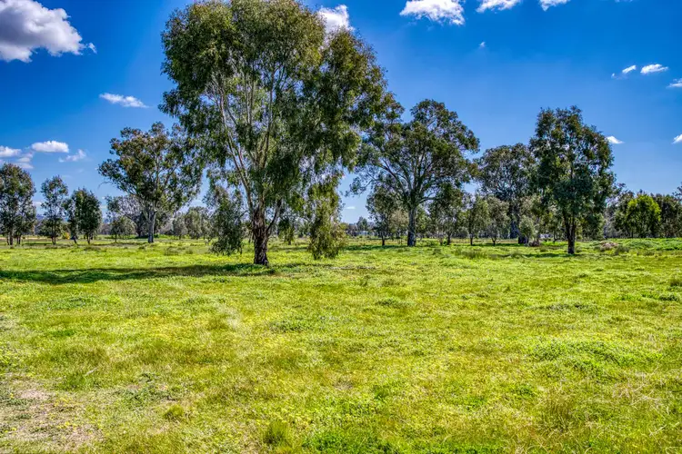 41 Range View Drive, Jindera NSW 2642