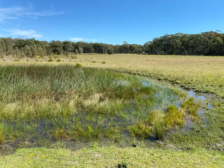 Sixth view of Homely rural property listing, 19 Moffats Road, Swan Bay NSW 2324