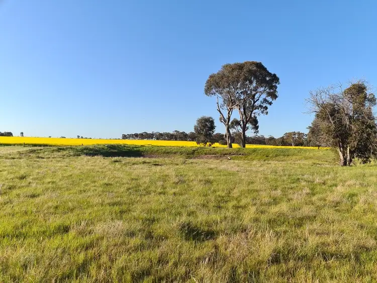 Main view of Homely land listing, 258 Engi Road, Neilborough VIC 3570