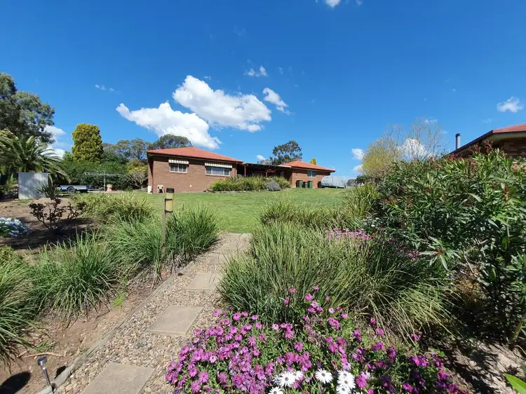 31 Riesling Street, Muswellbrook NSW 2333