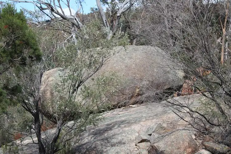 Fourth view of Homely house listing, 304 Townsend Road, Glen Aplin QLD 4381