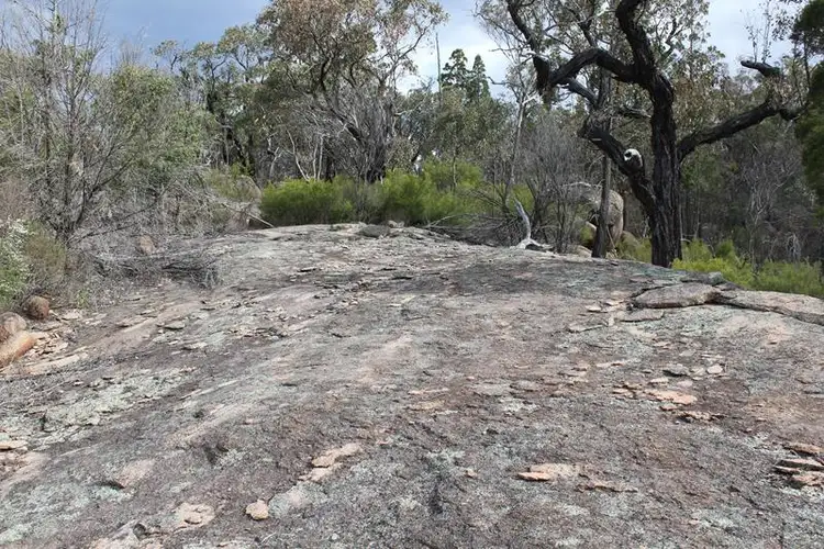 Fifth view of Homely house listing, 304 Townsend Road, Glen Aplin QLD 4381