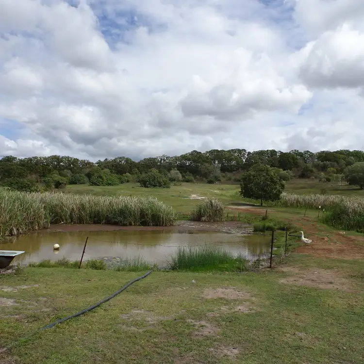 Second view of Homely rural property listing, 138 Framptons Road, North Isis QLD 4660
