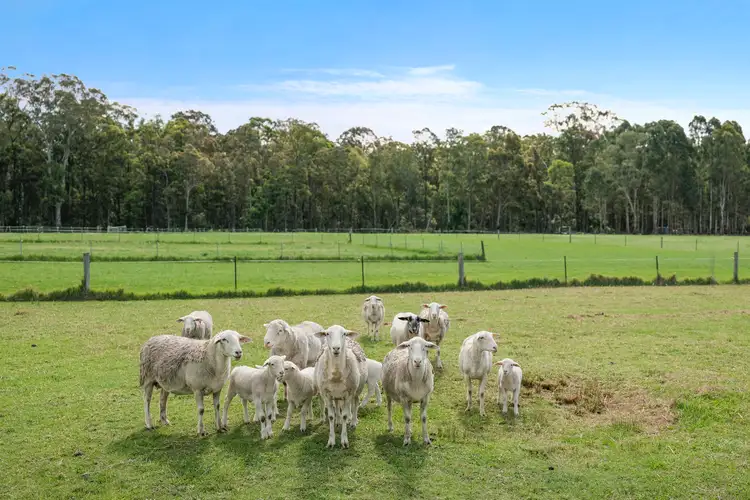 Third view of Homely land listing, 79 Boatfalls Drive, Clarence Town NSW 2321