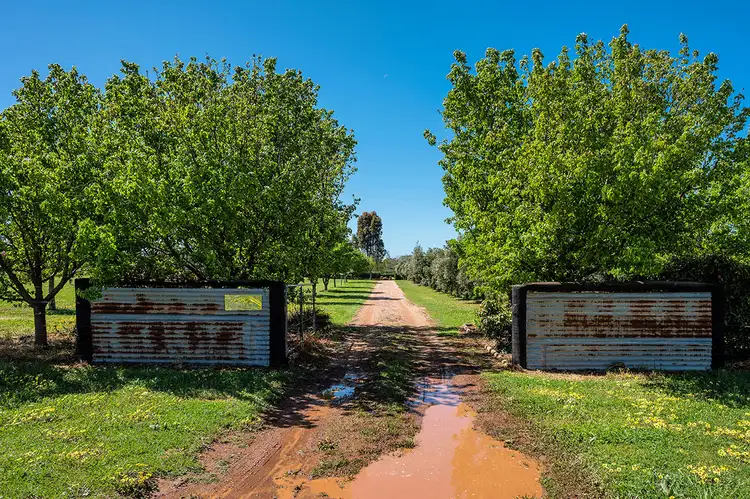 Third view of Homely rural property listing, 49 Zimmler Lane, Gulgong NSW 2852