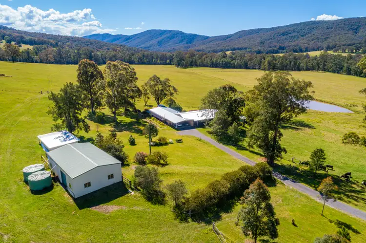 427 Main Creek Road, Dungog NSW 2420
