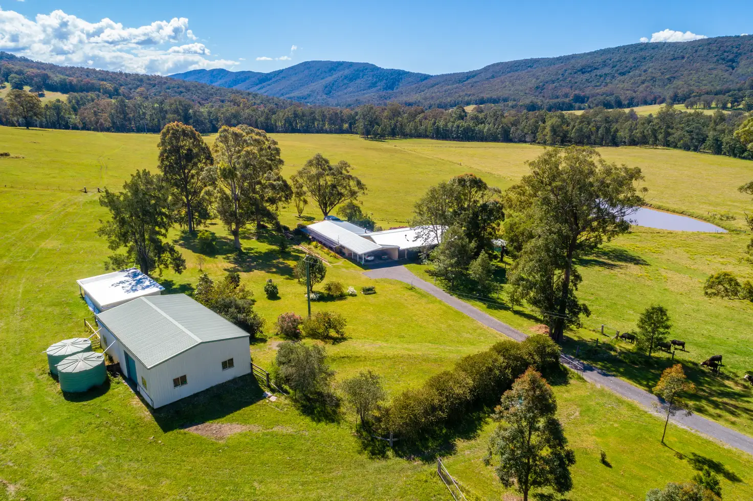 Main view of Homely rural property listing, 427 Main Creek Road, Dungog NSW 2420
