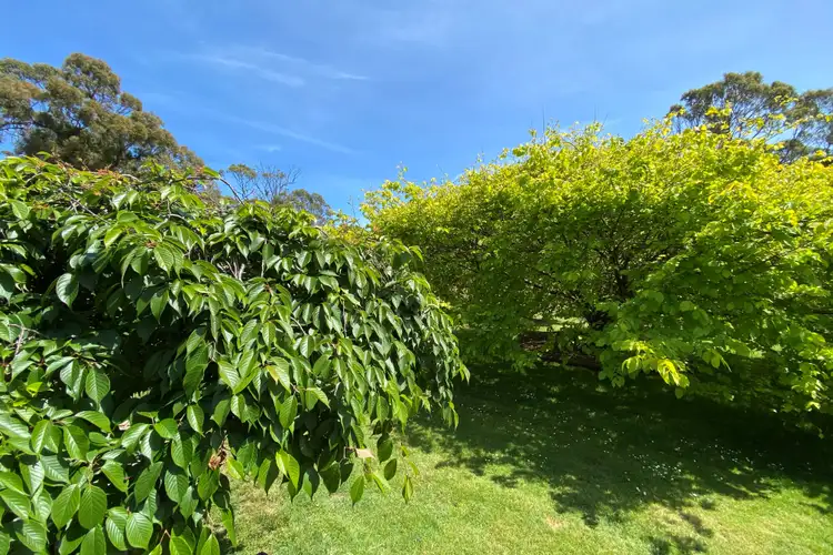 Fifth view of Homely house listing, 64 East Glen, Port Sorell TAS 7307