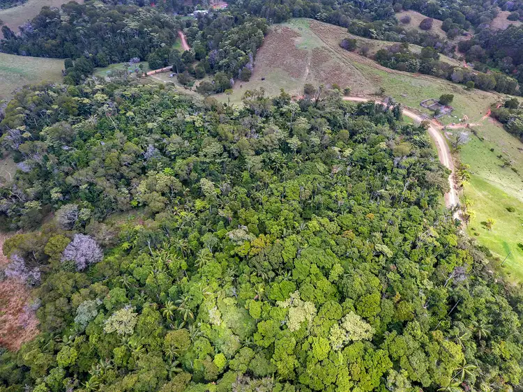 Fourth view of Homely rural property listing, 242 Chelmans Road, Dalrymple Heights QLD 4757