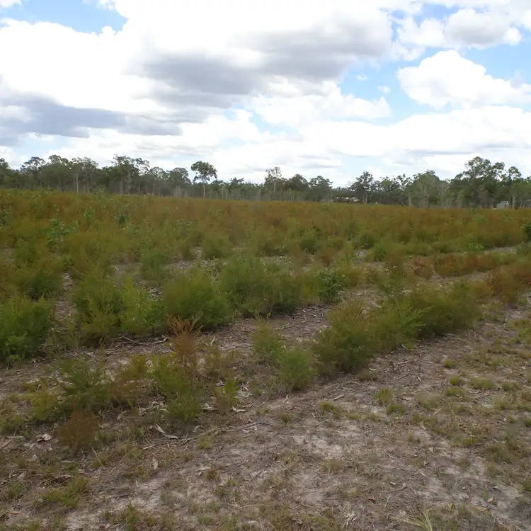Fourth view of Homely rural property listing, 149 Buxton Road, Buxton QLD 4660