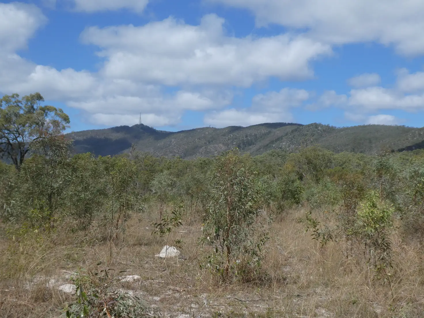 Main view of Homely rural property listing, Address available on request