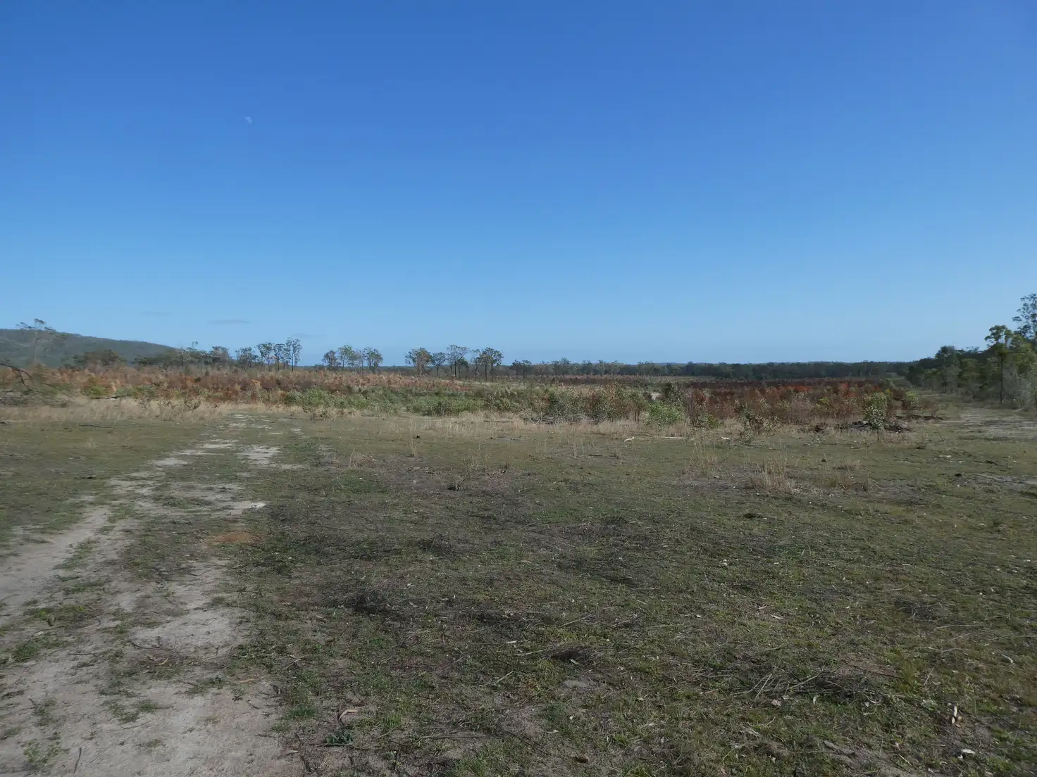 Main view of Homely rural property listing, Address available on request