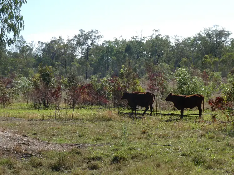 Fifth view of Homely rural property listing, Address available on request