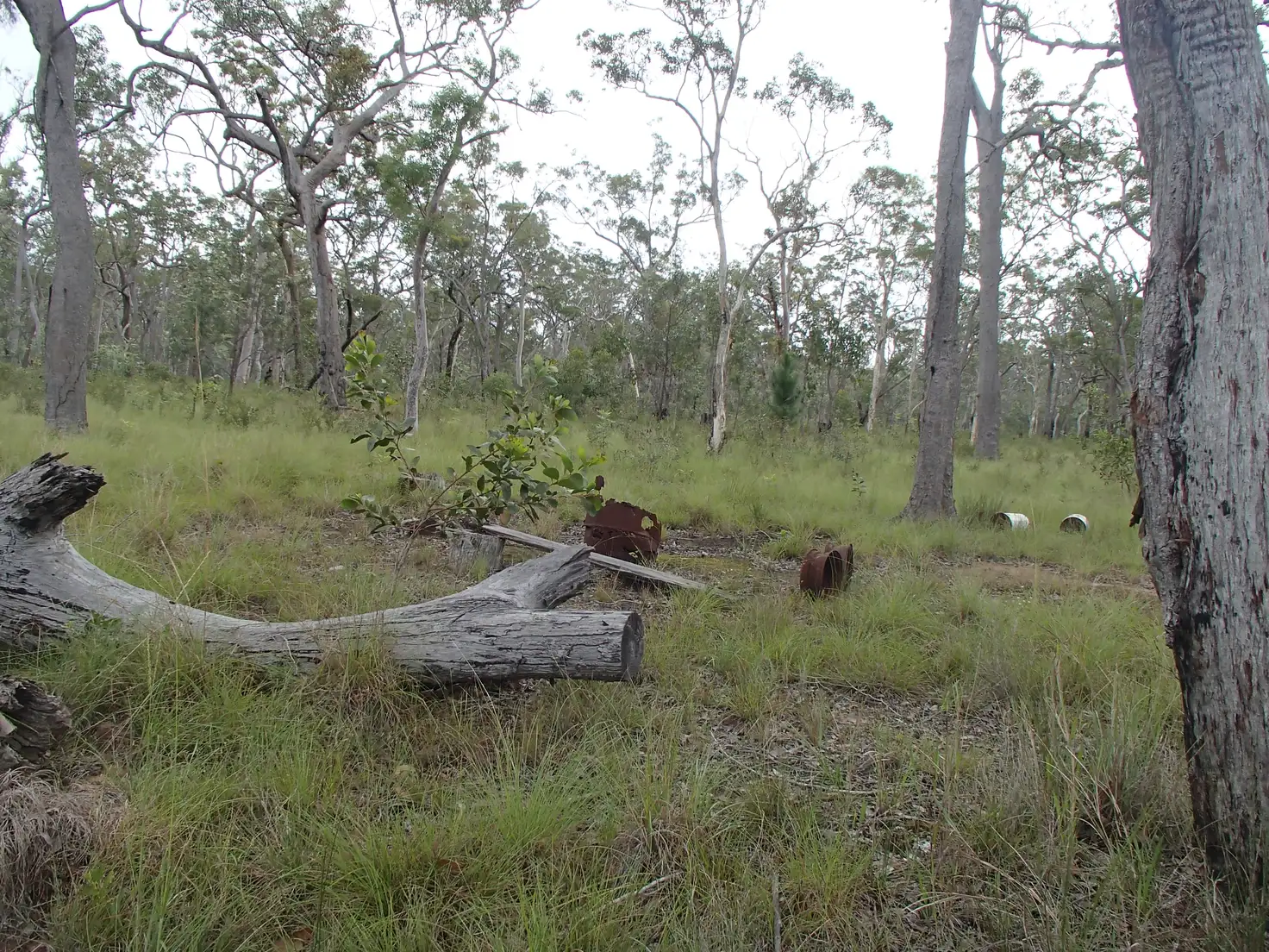 Main view of Homely land listing, LOT L226 Robertson St, Torbanlea QLD 4662