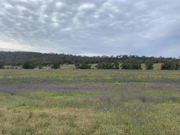 Second view of Homely land listing, Lot 21, 1865 Cullingral Road, Merriwa NSW 2329
