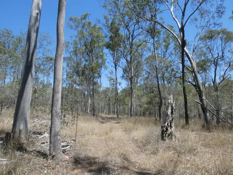 Fourth view of Homely rural property listing, 471 Rainbows Road, South Isis QLD 4660
