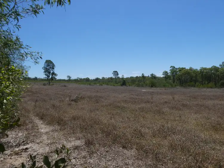 Sixth view of Homely rural property listing, 471 Rainbows Road, South Isis QLD 4660
