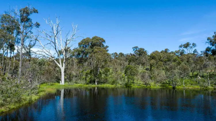 Seventh view of Homely land listing, 237 Bidges Road, Sutton NSW 2620