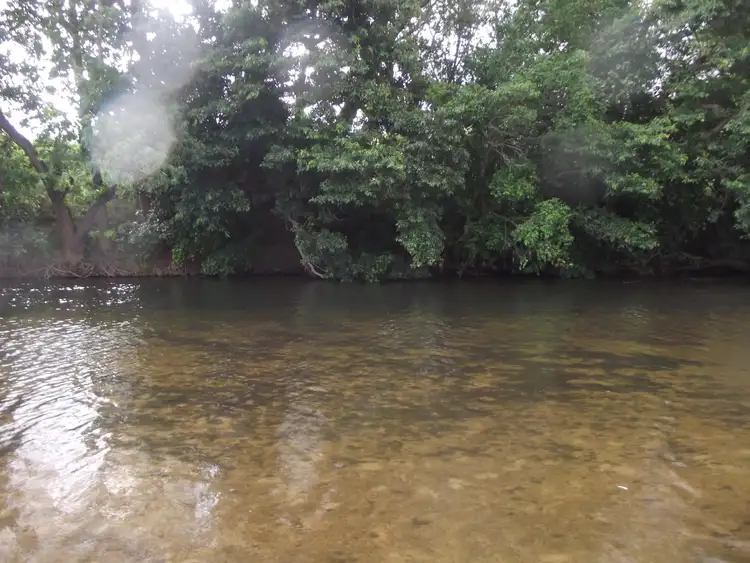 Second view of Homely rural property listing, Address available on request