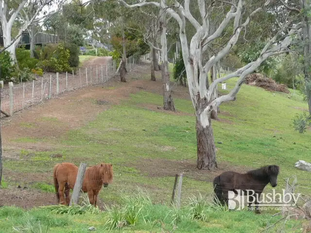 Sixth view of Homely house listing, 203 Rosevears Drive, Rosevears TAS 7277