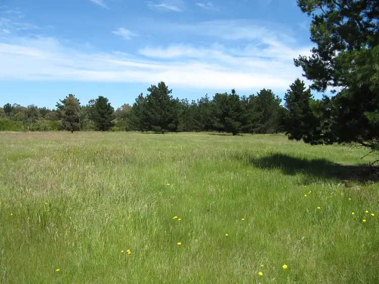 Fifth view of Homely rural property listing, LOT 7 Carrs Creek Road, Longford VIC 3851