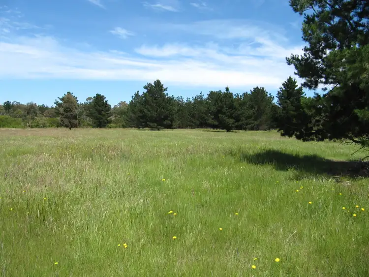 Seventh view of Homely rural property listing, LOT 7 Carrs Creek Road, Longford VIC 3851
