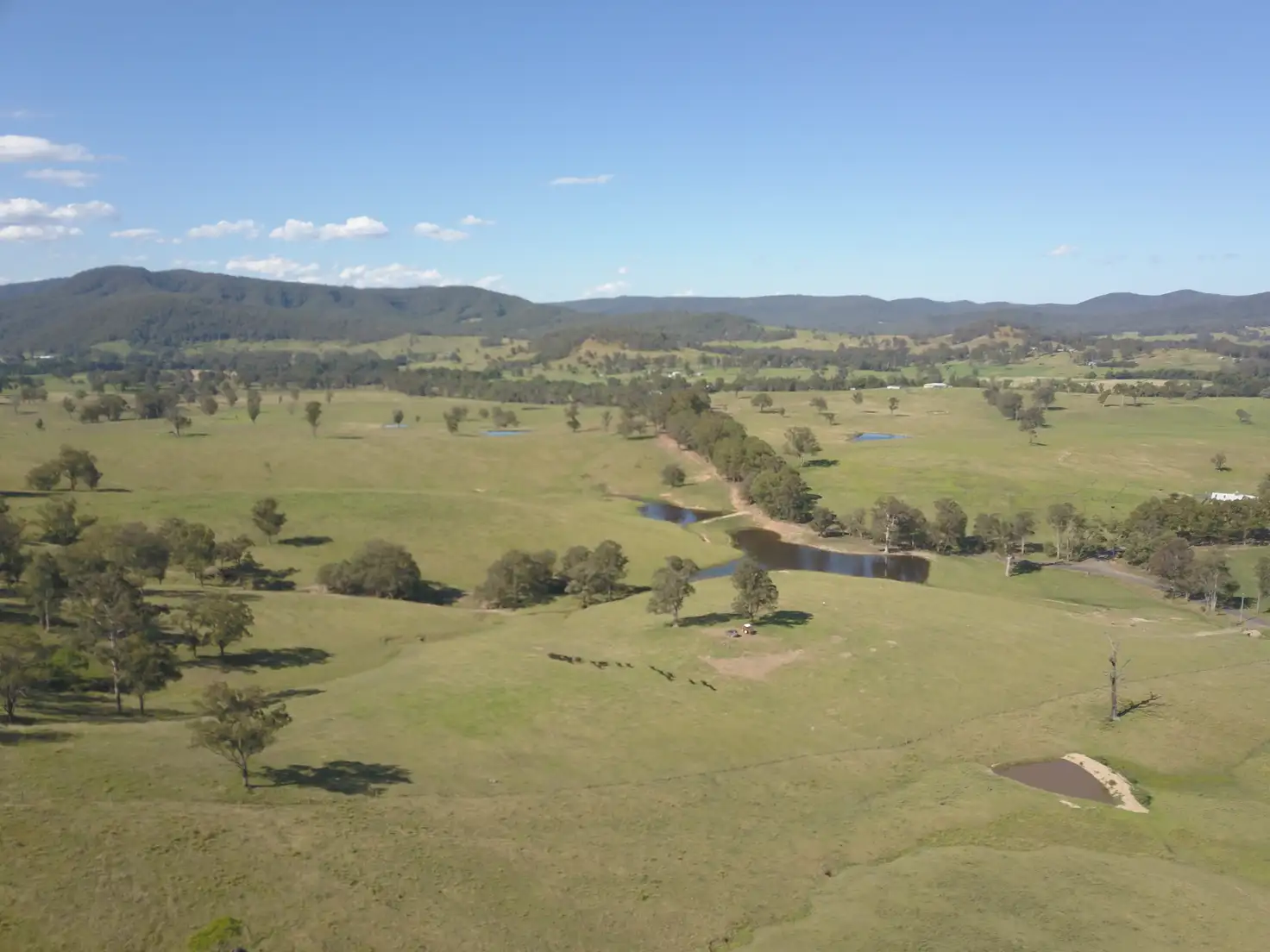 Main view of Homely rural property listing, 310 Fosterton Road, Dungog NSW 2420