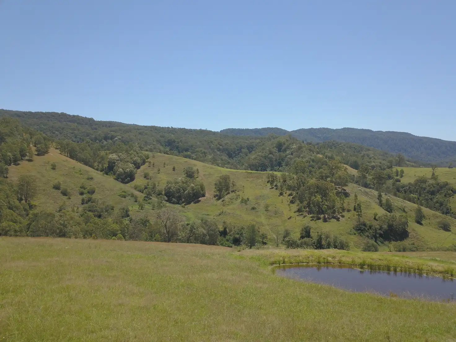 Main view of Homely rural property listing, 545 Masseys Creek Road, Eccleston Via, East Gresford NSW 2311
