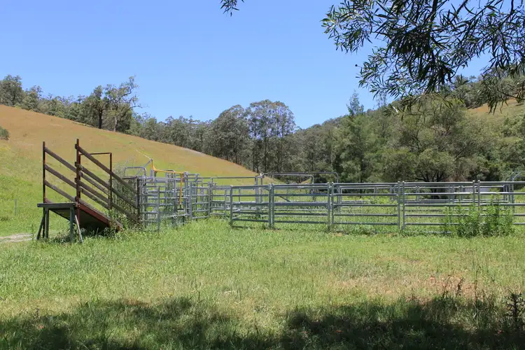 Second view of Homely rural property listing, 545 Masseys Creek Road, Eccleston Via, East Gresford NSW 2311