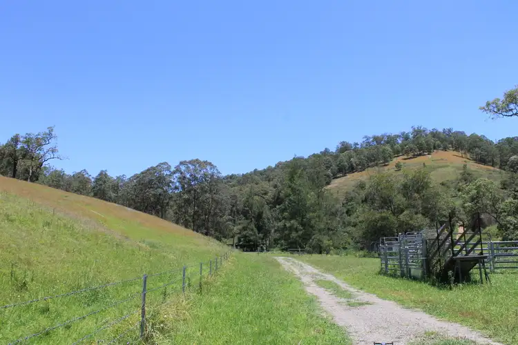 Third view of Homely rural property listing, 545 Masseys Creek Road, Eccleston Via, East Gresford NSW 2311