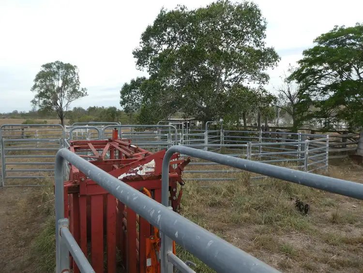 Seventh view of Homely rural property listing, 7 Eldridge Road, Booyal QLD 4671