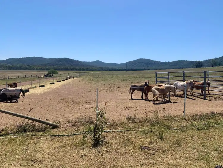 Sixth view of Homely rural property listing, 1100 Yarrawa Road, Denman NSW 2328