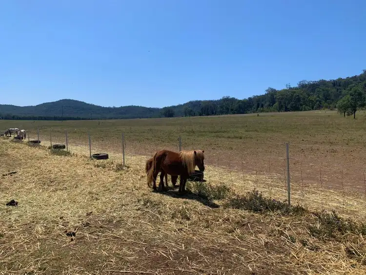 Seventh view of Homely rural property listing, 1100 Yarrawa Road, Denman NSW 2328