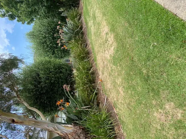 Fifth view of Homely house listing, 24 O'Keefe Terrace, Sandhurst VIC 3977