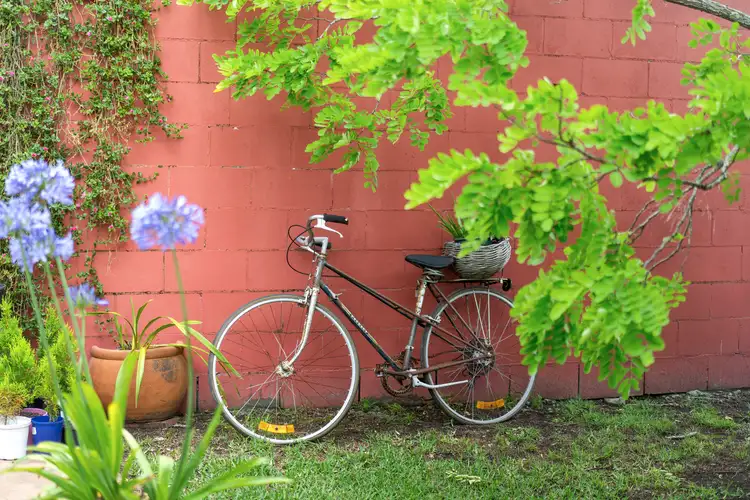 Second view of Homely rural property listing, 2411 Bucketts Way, Wards River NSW 2422