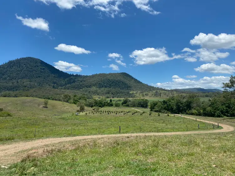 Main view of Homely rural property listing, Lot 4 McFauls Road, Mount Martin QLD 4754
