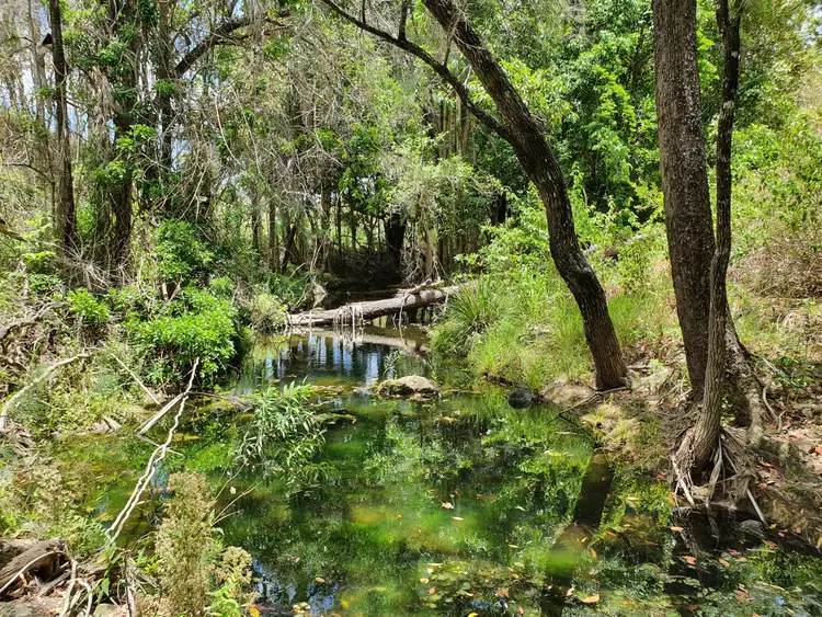 Second view of Homely rural property listing, Lot 4 McFauls Road, Mount Martin QLD 4754