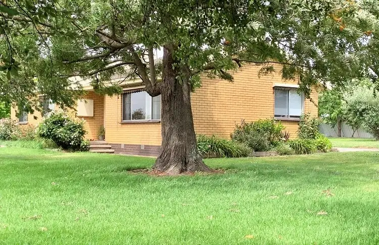 55 Woodrowvale Road