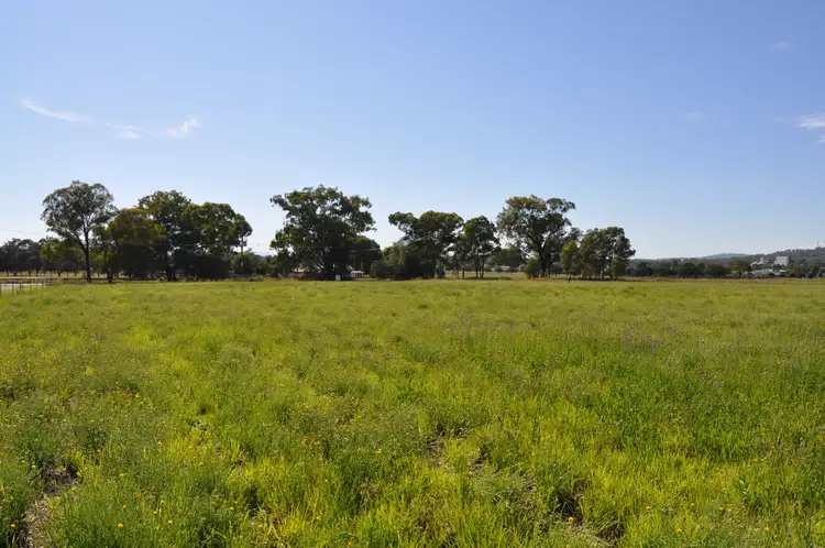 Main view of Homely land listing, 69 Barney's Reef Road, Gulgong NSW 2852