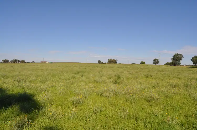 Third view of Homely land listing, 69 Barney's Reef Road, Gulgong NSW 2852