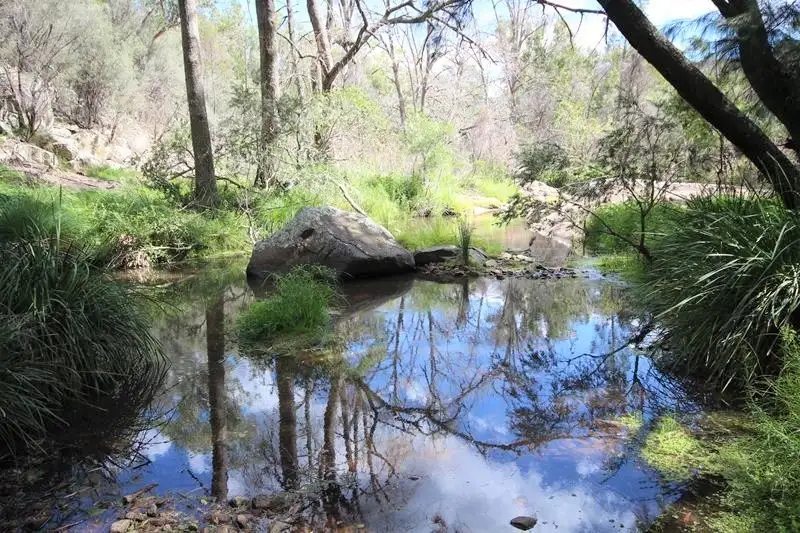 Main view of Homely house listing, 2473 Pyramids Road, Wyberba QLD 4382